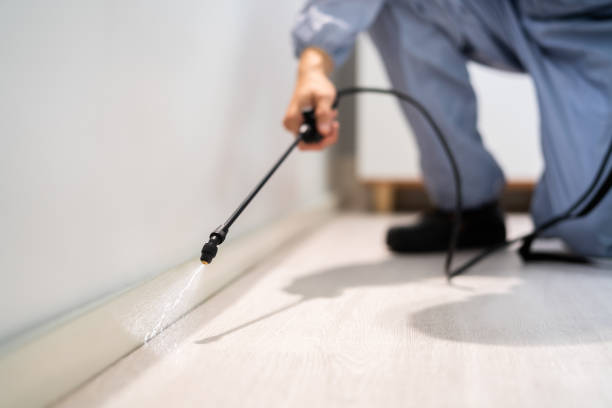 Licensed Pest Control service in St. John, KS - Show Me Pest Control