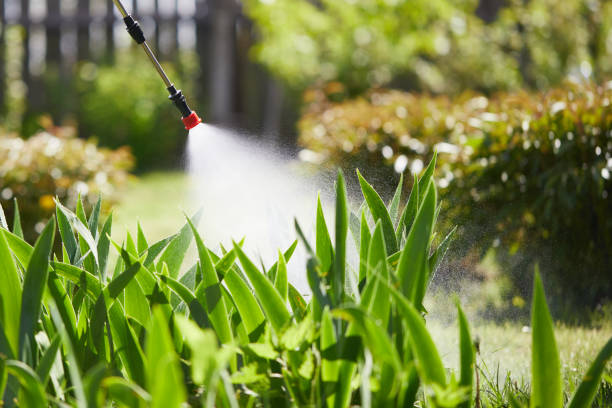 24/7 Emergency Wasp Removal experts in St. John, KS