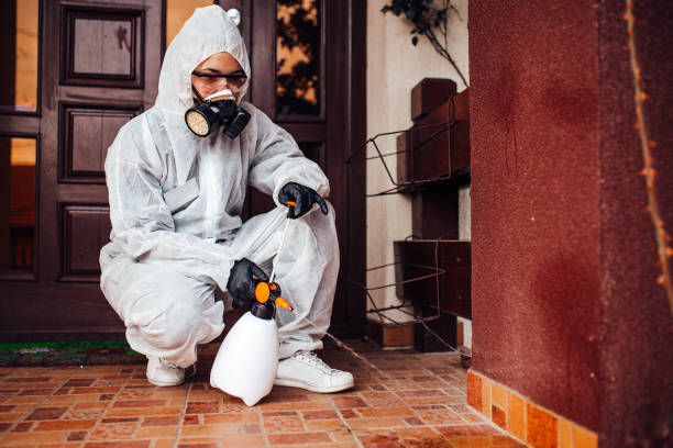 Reliable Wasp Removal contractor in St. John, KS by Show Me Pest Control